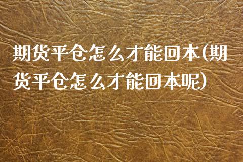 期货平仓怎么才能回本(期货平仓怎么才能回本呢)_https://www.fcdydaikuan.com_恒生指数直播室_第1张