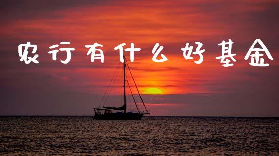 农行有什么好基金_https://www.fcdydaikuan.com_恒生指数直播室_第1张