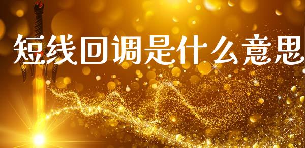 短线回调是什么意思_https://www.fcdydaikuan.com_恒生指数直播室_第1张