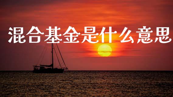 混合基金是什么意思_https://www.fcdydaikuan.com_德指期货直播_第1张