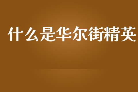 什么是华尔街精英_https://www.fcdydaikuan.com_恒生指数直播室_第1张