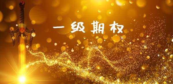 一级期权_https://www.fcdydaikuan.com_德指期货直播_第1张