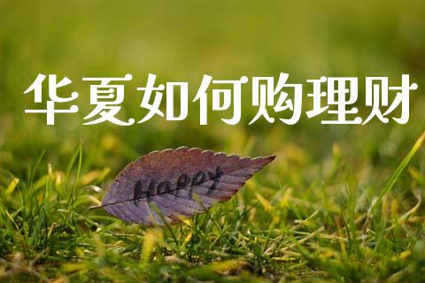 华夏如何购理财_https://www.fcdydaikuan.com_德指期货直播_第1张