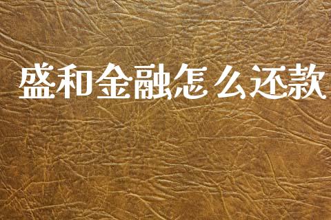 盛和金融怎么还款_https://www.fcdydaikuan.com_黄金期货直播_第1张