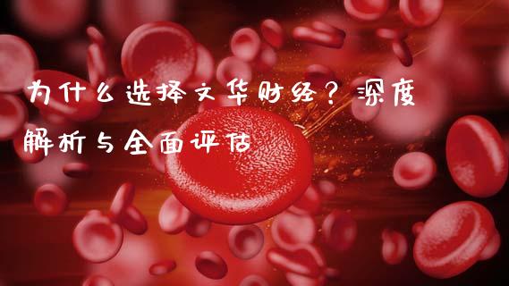 为什么选择文华财经？深度解析与全面评估_https://www.fcdydaikuan.com_恒生指数直播室_第1张