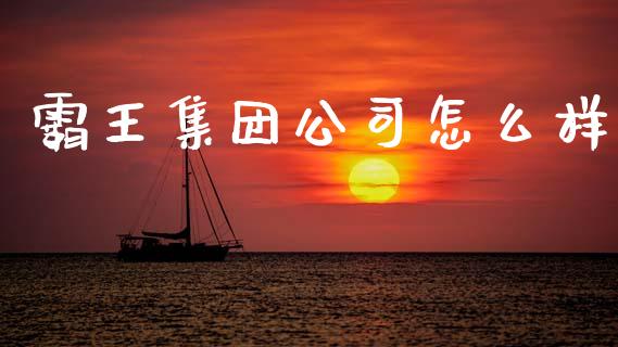 霸王集团公司怎么样_https://www.fcdydaikuan.com_德指期货直播_第1张