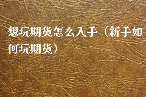 想玩期货怎么入手（新手如何玩期货）_https://www.fcdydaikuan.com_恒生指数直播室_第1张