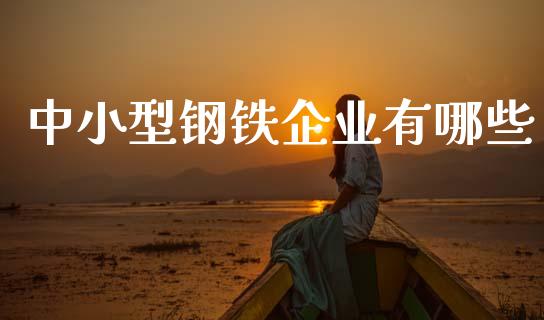 中小型钢铁企业有哪些_https://www.fcdydaikuan.com_恒生指数直播室_第1张