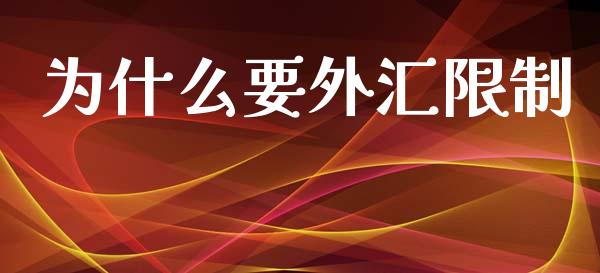 为什么要外汇限制_https://www.fcdydaikuan.com_恒指期货直播_第1张