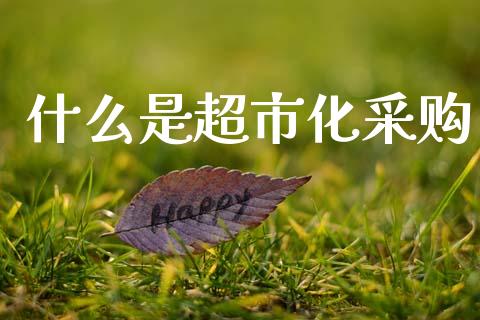 什么是超市化采购_https://www.fcdydaikuan.com_恒指期货直播_第1张