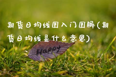 期货日均线图入门图解(期货日均线是什么意思)_https://www.fcdydaikuan.com_恒指期货直播_第1张