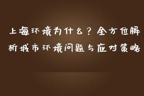 上海环境为什么？全方位解析城市环境问题与应对策略_https://www.fcdydaikuan.com_恒生指数直播室_第1张