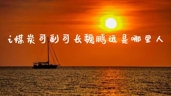 i煤炭司副司长魏鹏远是哪里人_https://www.fcdydaikuan.com_德指期货直播_第1张