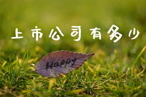 上市公司有多少_https://www.fcdydaikuan.com_黄金期货直播_第1张
