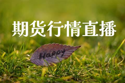 期货行情直播_https://www.fcdydaikuan.com_恒指期货直播_第1张