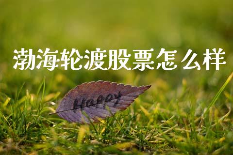 渤海轮渡股票怎么样_https://www.fcdydaikuan.com_黄金期货直播_第1张