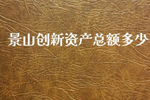 景山创新资产总额多少_https://www.fcdydaikuan.com_黄金期货直播_第1张
