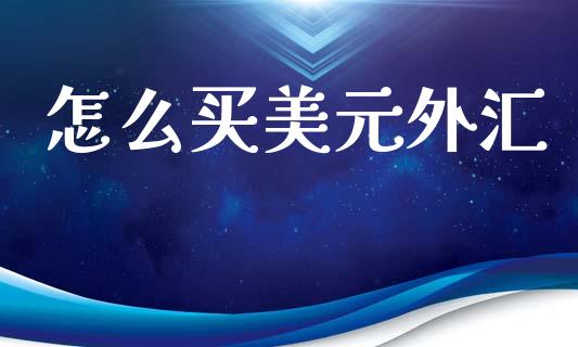 怎么买美元外汇_https://www.fcdydaikuan.com_恒指期货直播_第1张