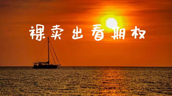 裸卖出看期权_https://www.fcdydaikuan.com_德指期货直播_第1张