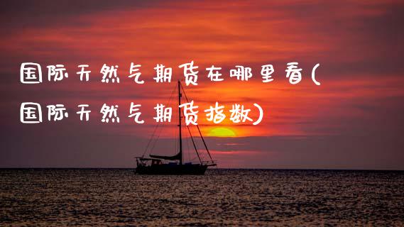国际天然气期货在哪里看(国际天然气期货指数)_https://www.fcdydaikuan.com_恒指期货直播_第1张