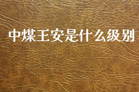 中煤王安是什么级别_https://www.fcdydaikuan.com_德指期货直播_第1张