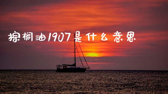 棕榈油1907是什么意思_https://www.fcdydaikuan.com_恒生指数直播室_第1张