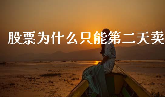 股票为什么只能第二天卖_https://www.fcdydaikuan.com_黄金期货直播_第1张