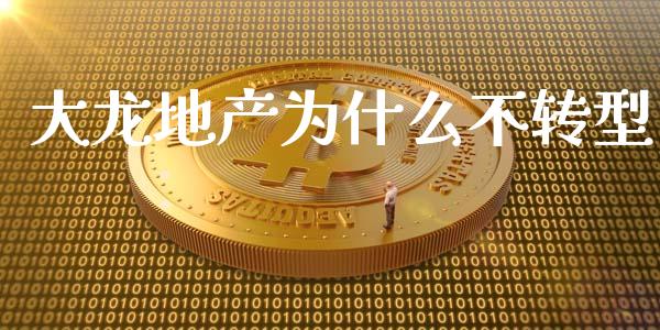 大龙地产为什么不转型_https://www.fcdydaikuan.com_黄金期货直播_第1张