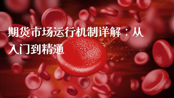 期货市场运行机制详解：从入门到精通_https://www.fcdydaikuan.com_黄金期货直播_第1张