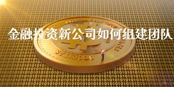 金融投资新公司如何组建团队_https://www.fcdydaikuan.com_德指期货直播_第1张