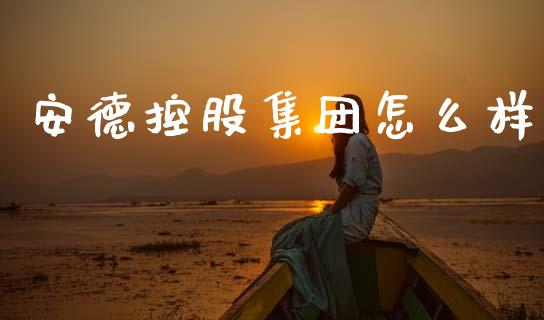 安德控股集团怎么样_https://www.fcdydaikuan.com_德指期货直播_第1张