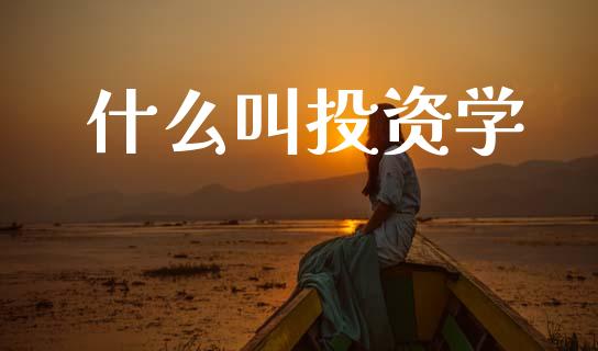 什么叫投资学_https://www.fcdydaikuan.com_黄金期货直播_第1张