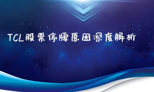 TCL股票停牌原因深度解析_https://www.fcdydaikuan.com_恒生指数直播室_第1张