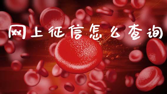 网上征信怎么查询_https://www.fcdydaikuan.com_德指期货直播_第1张