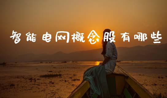 智能电网概念股有哪些_https://www.fcdydaikuan.com_德指期货直播_第1张