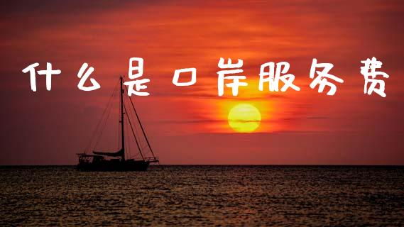 什么是口岸服务费_https://www.fcdydaikuan.com_德指期货直播_第1张