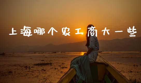 上海哪个农工商大一些_https://www.fcdydaikuan.com_恒指期货直播_第1张