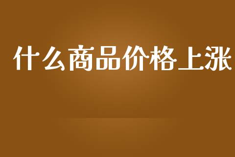 什么商品价格上涨_https://www.fcdydaikuan.com_德指期货直播_第1张