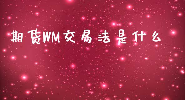 期货WM交易法是什么_https://www.fcdydaikuan.com_恒指期货直播_第1张