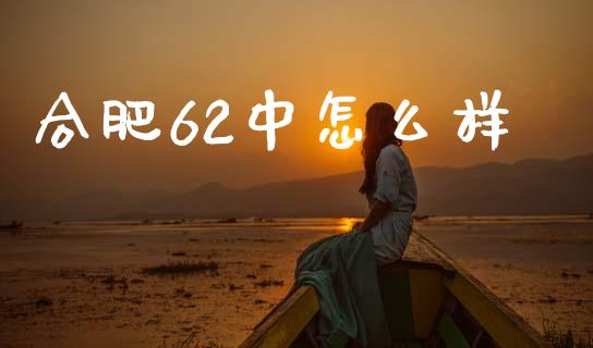合肥62中怎么样_https://www.fcdydaikuan.com_恒指期货直播_第1张
