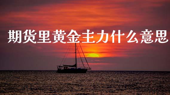 期货里黄金主力什么意思_https://www.fcdydaikuan.com_德指期货直播_第1张