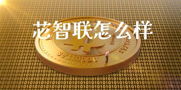 芯智联怎么样_https://www.fcdydaikuan.com_恒生指数直播室_第1张