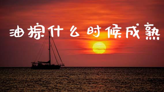 油棕什么时候成熟_https://www.fcdydaikuan.com_德指期货直播_第1张