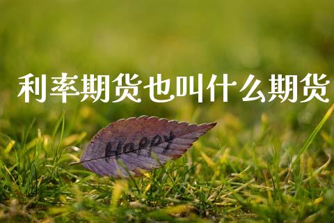利率期货也叫什么期货_https://www.fcdydaikuan.com_恒生指数直播室_第1张