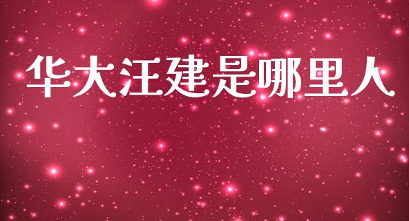 华大汪建是哪里人_https://www.fcdydaikuan.com_黄金期货直播_第1张