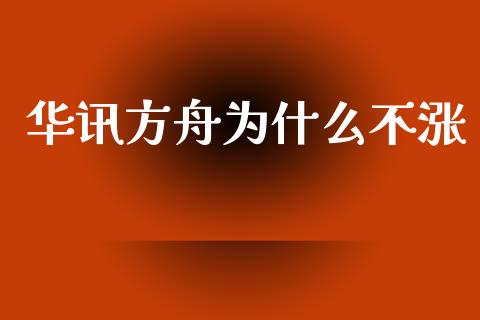 华讯方舟为什么不涨_https://www.fcdydaikuan.com_黄金期货直播_第1张