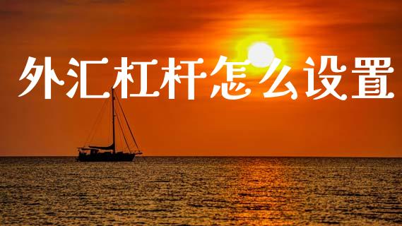 外汇杠杆怎么设置_https://www.fcdydaikuan.com_恒指期货直播_第1张