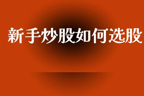 新手炒股如何选股_https://www.fcdydaikuan.com_黄金期货直播_第1张