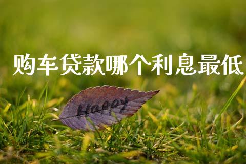 购车贷款哪个利息最低_https://www.fcdydaikuan.com_德指期货直播_第1张