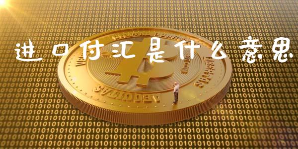 进口付汇是什么意思_https://www.fcdydaikuan.com_恒指期货直播_第1张